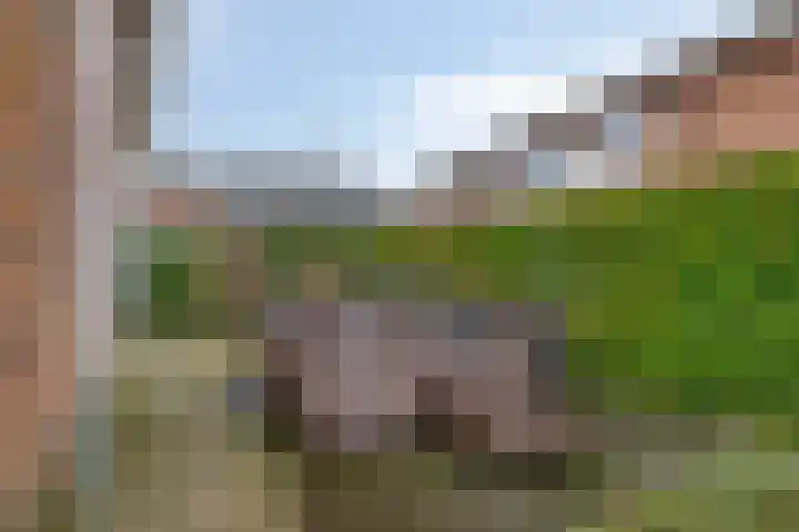 Houtlaan 68 Assen thumbnail 46