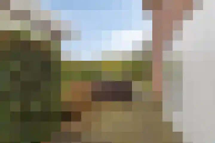 Houtlaan 68 Assen thumbnail 47
