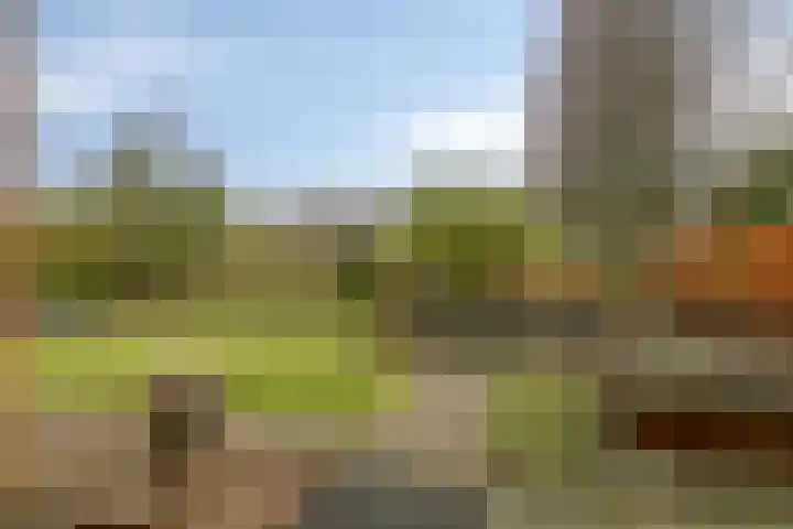 Houtlaan 68 Assen thumbnail 48