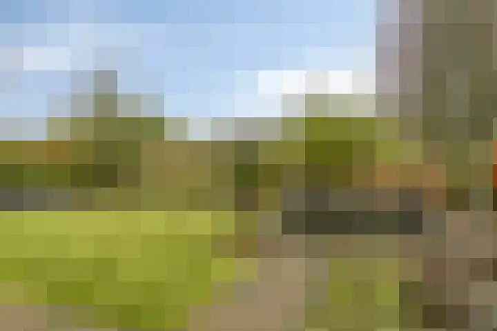 Houtlaan 68 Assen thumbnail 49