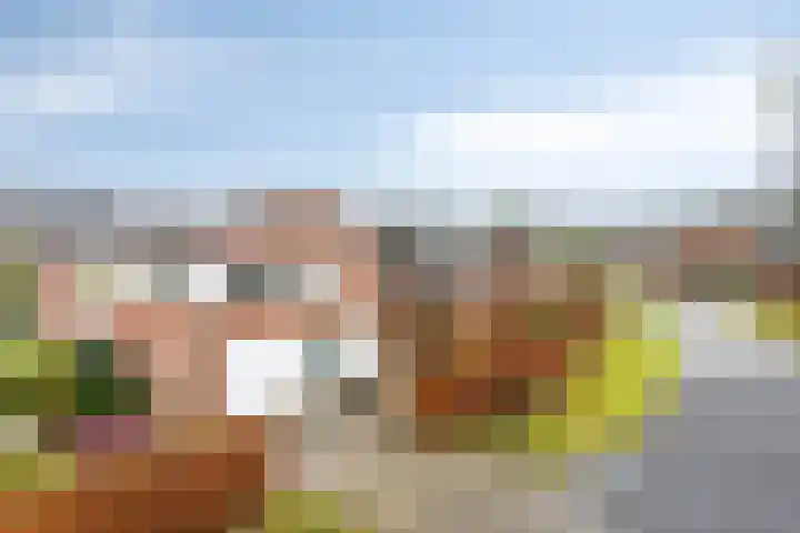 Houtlaan 68 Assen thumbnail 5