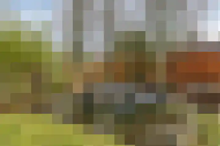 Houtlaan 68 Assen thumbnail 50