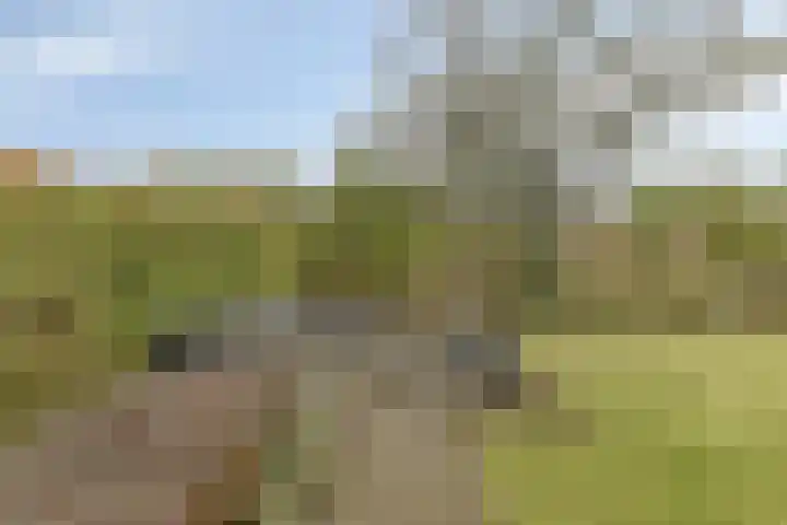 Houtlaan 68 Assen thumbnail 54