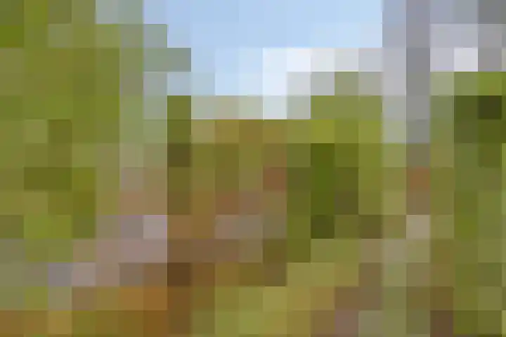 Houtlaan 68 Assen thumbnail 56