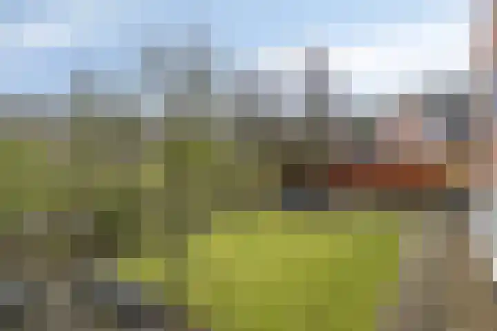 Houtlaan 68 Assen thumbnail 60