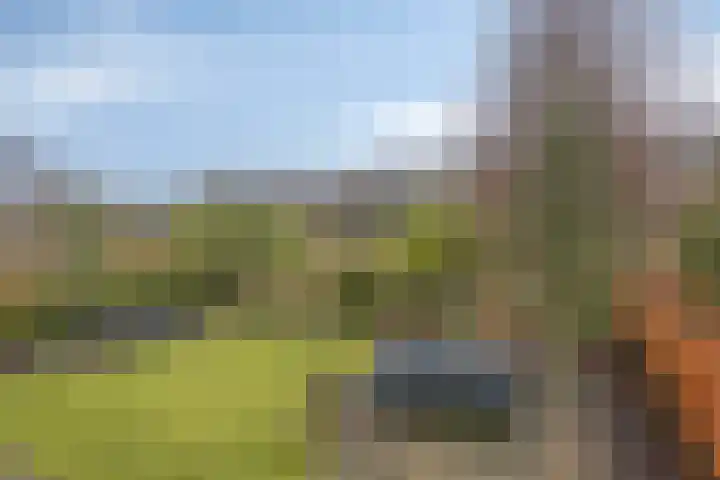Houtlaan 68 Assen thumbnail 61