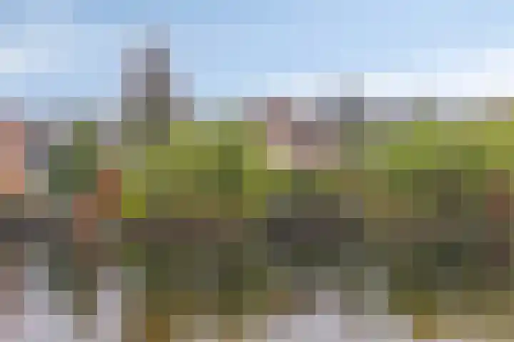 Houtlaan 68 Assen thumbnail 62