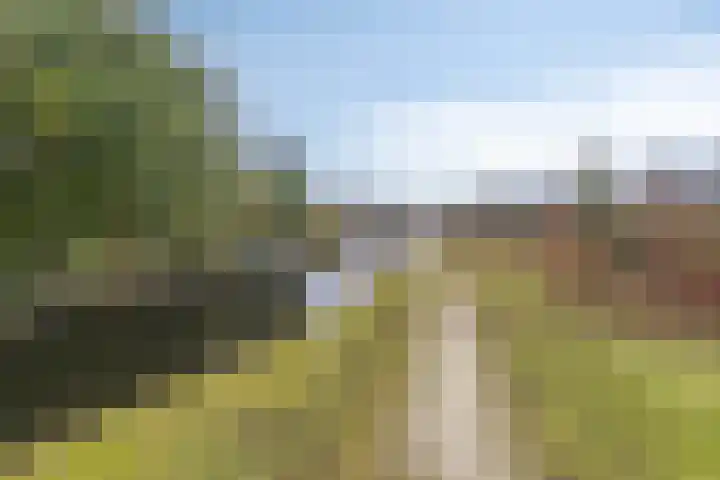 Houtlaan 68 Assen thumbnail 64