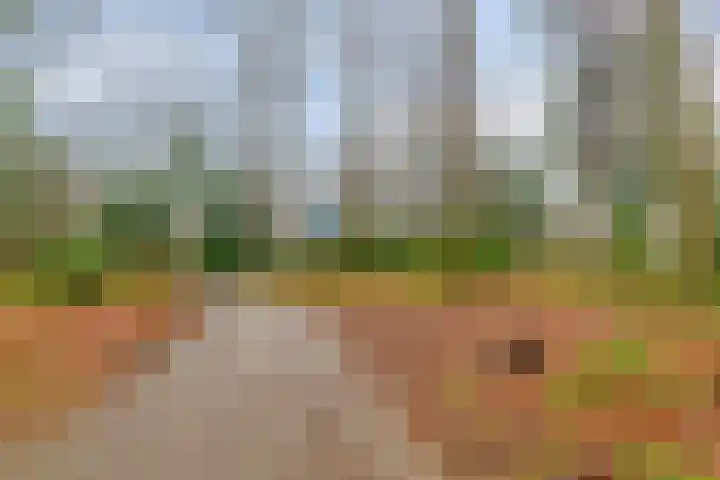 Houtlaan 68 Assen thumbnail 65