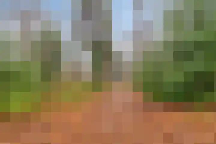 Houtlaan 68 Assen thumbnail 66
