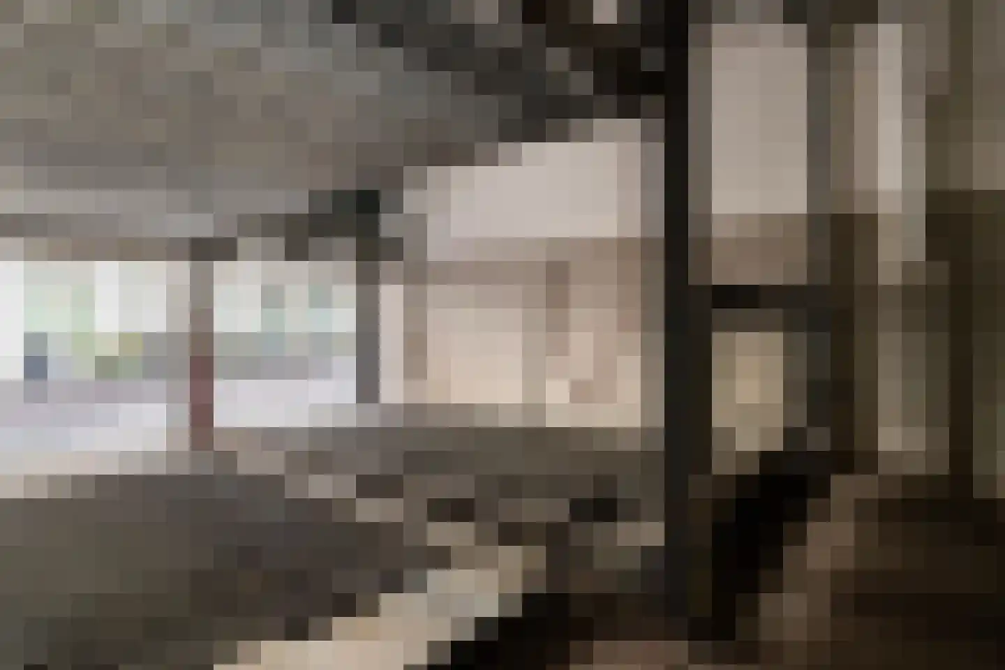 Houtlaan 74 Rotterdam thumbnail 4