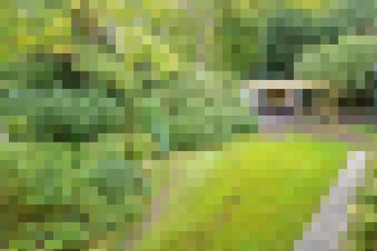 Houtlaan 8 A Wassenaar thumbnail 24