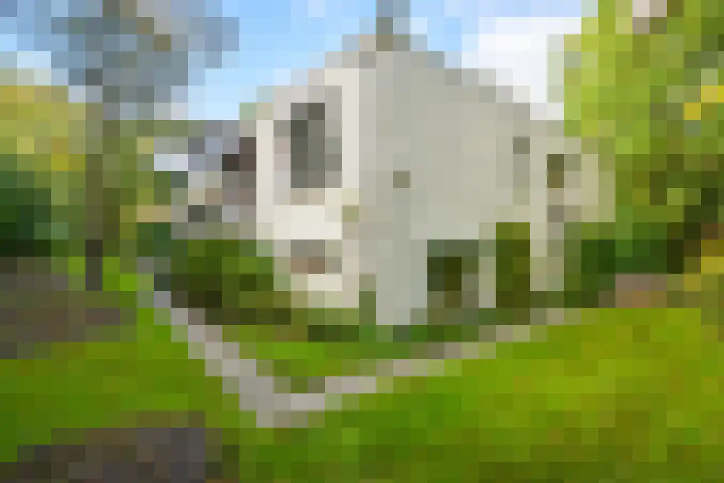 Houtlaan 8 A Wassenaar thumbnail 28