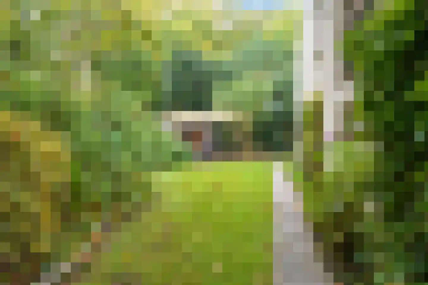 Houtlaan 8 A Wassenaar thumbnail 29
