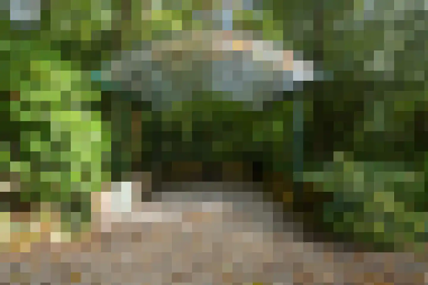 Houtlaan 8 A Wassenaar thumbnail 35