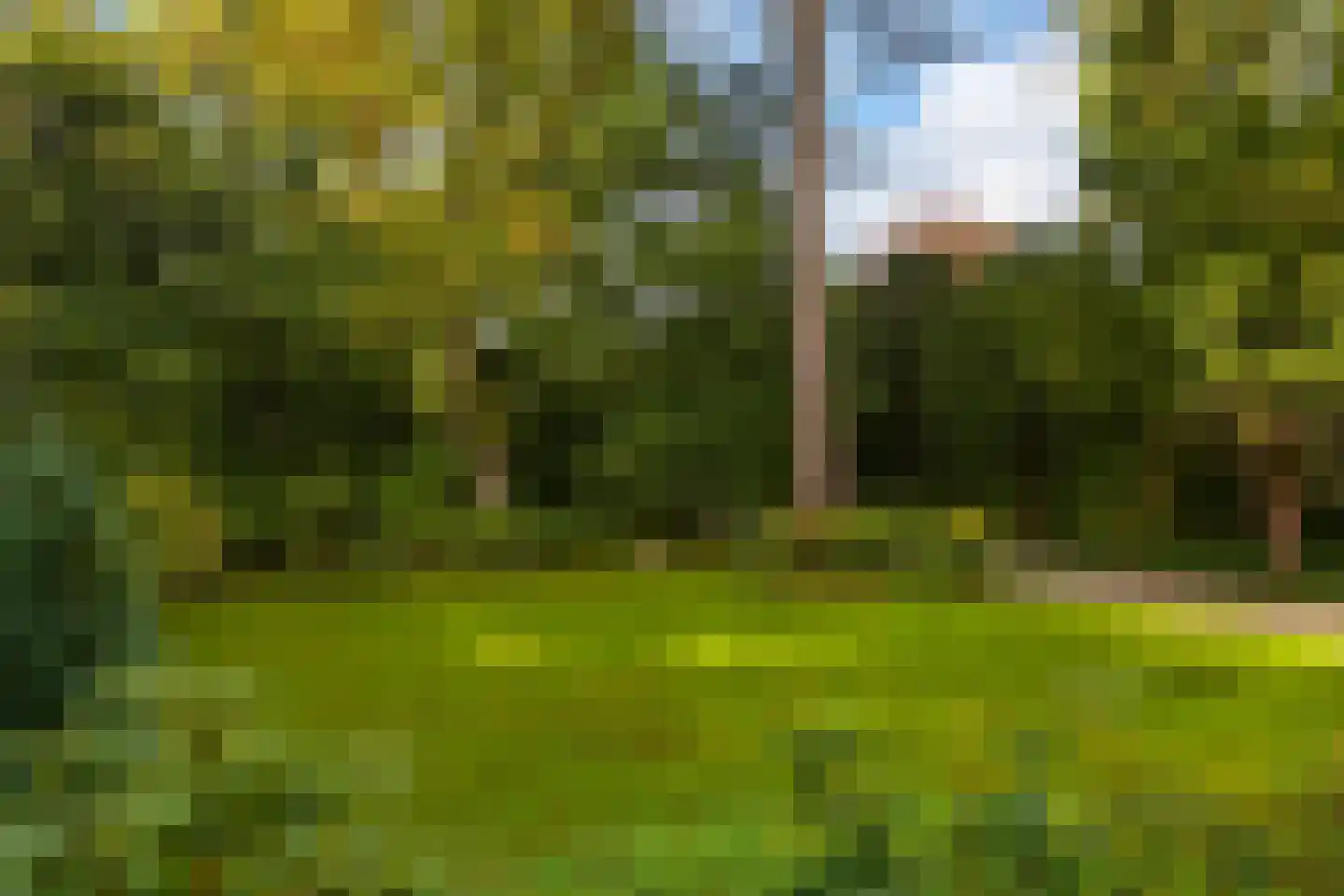 Houtlaan 8 A Wassenaar thumbnail 36
