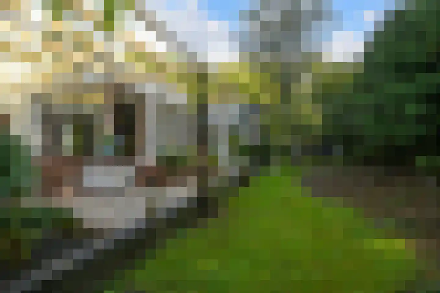 Houtlaan 8 A Wassenaar thumbnail 37