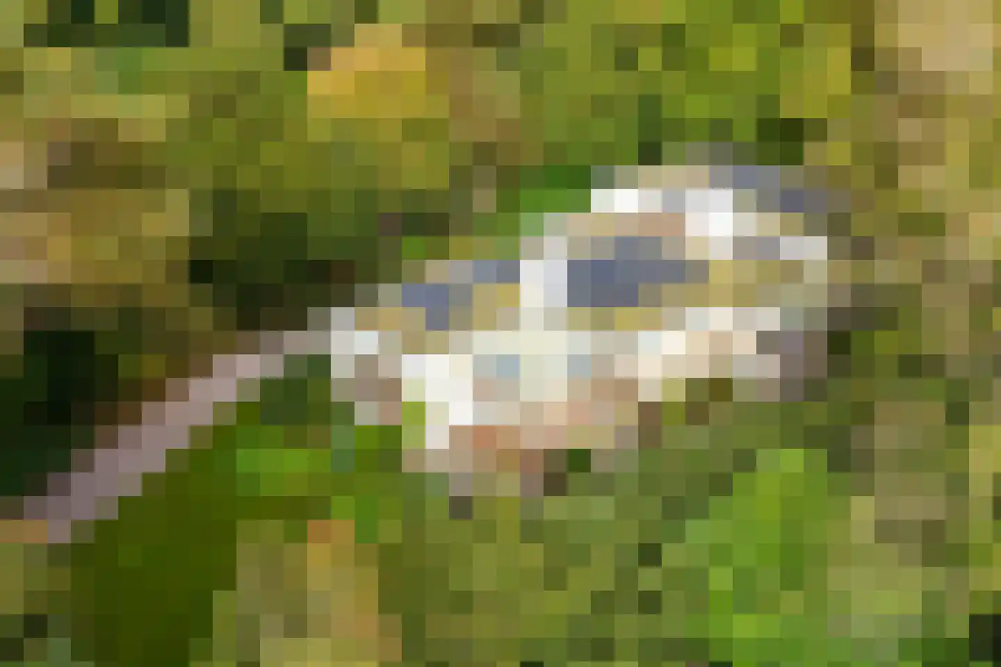 Houtlaan 8 A Wassenaar thumbnail 4