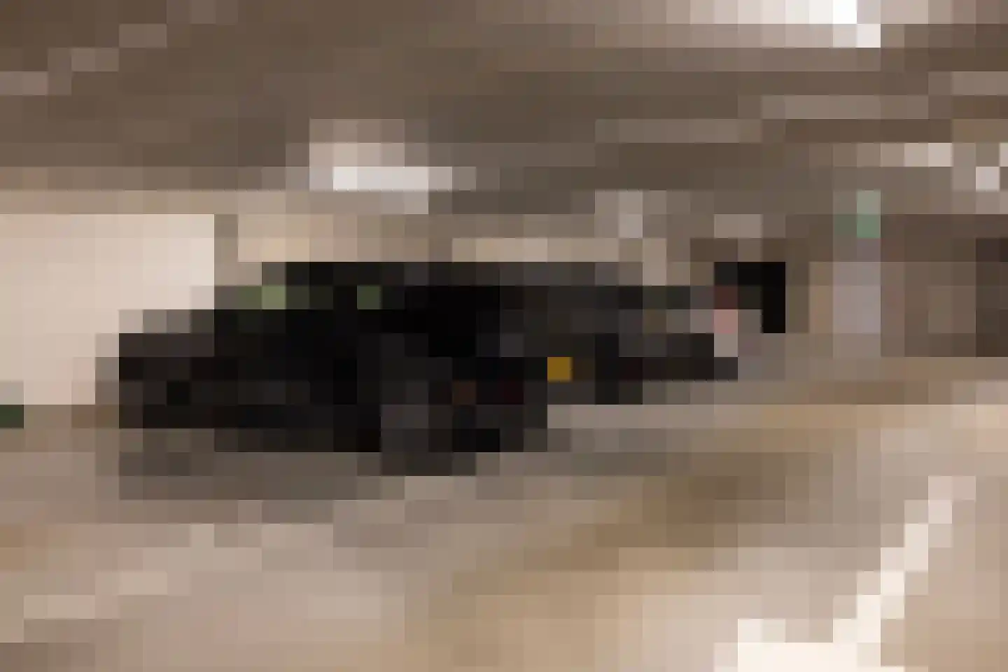 Houtlaan 93 Rotterdam thumbnail 18