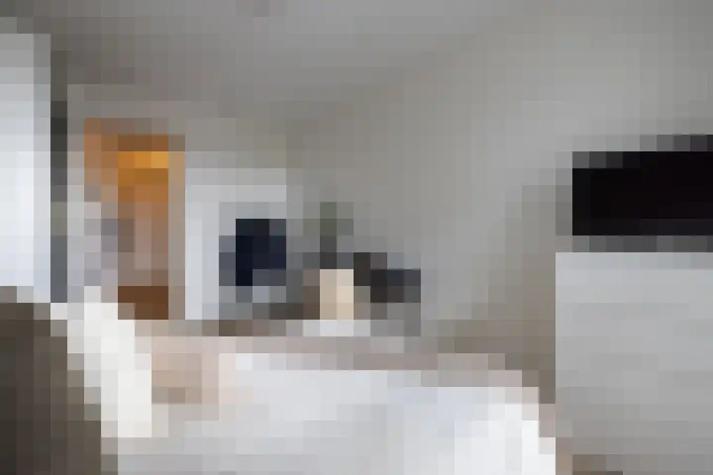 Houtlaan 99 Rotterdam thumbnail 19