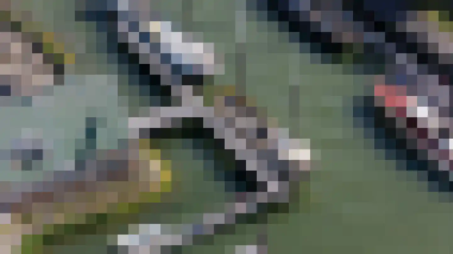 Houtlaan 99 Rotterdam thumbnail 32