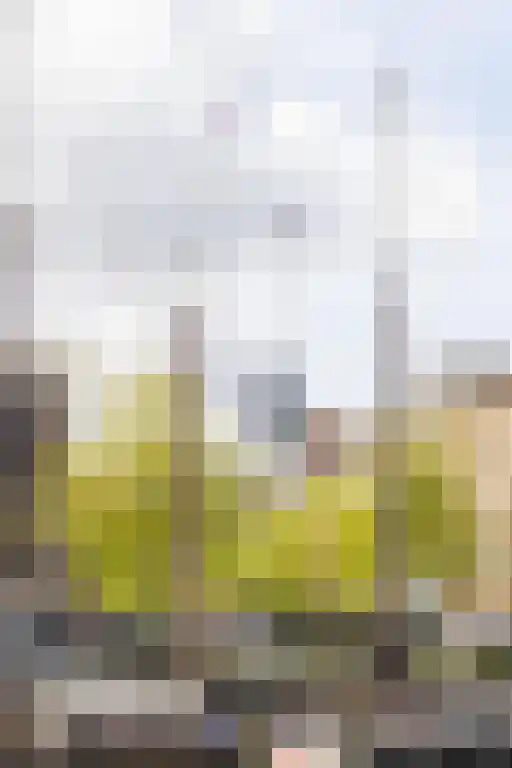 Houtlaan 99 Rotterdam thumbnail 33