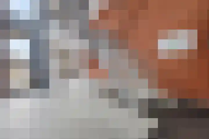 Houtladingstraat 6 38 Winterswijk thumbnail 4