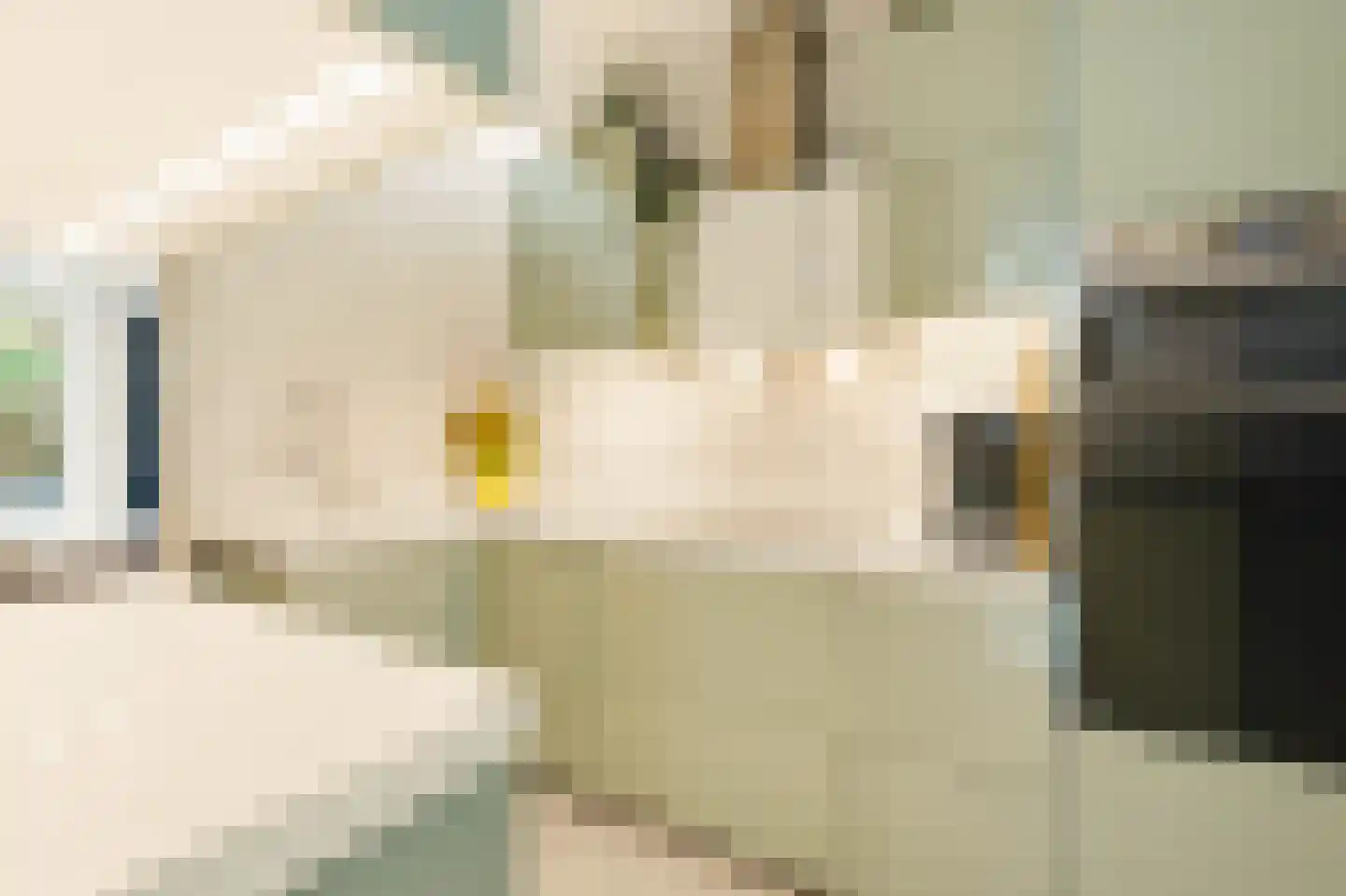 Houtmankade 310 Amsterdam thumbnail 10