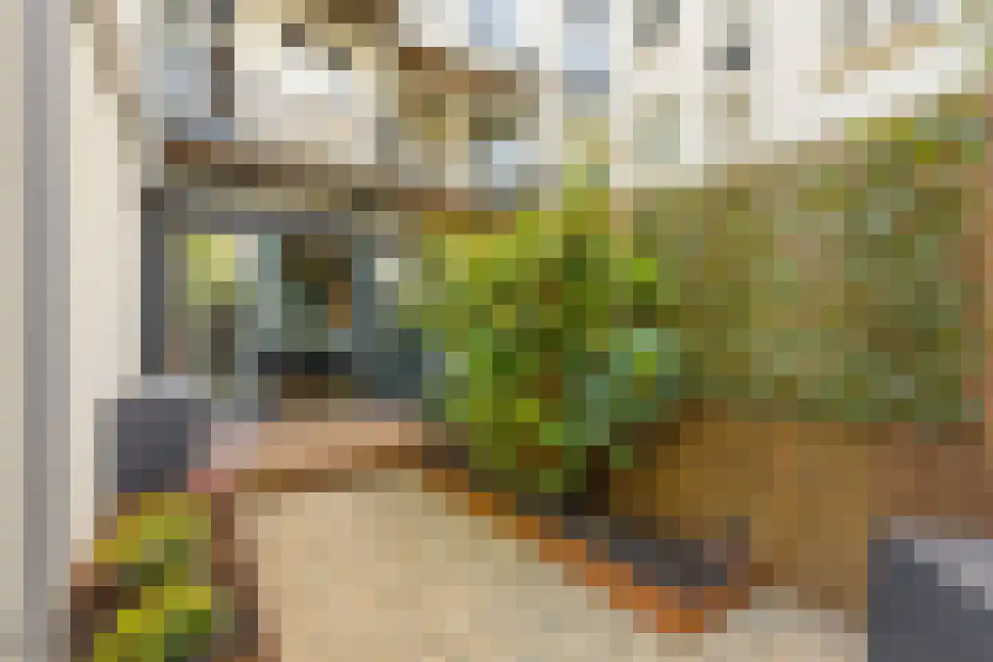 Houtmankade 310 Amsterdam thumbnail 32