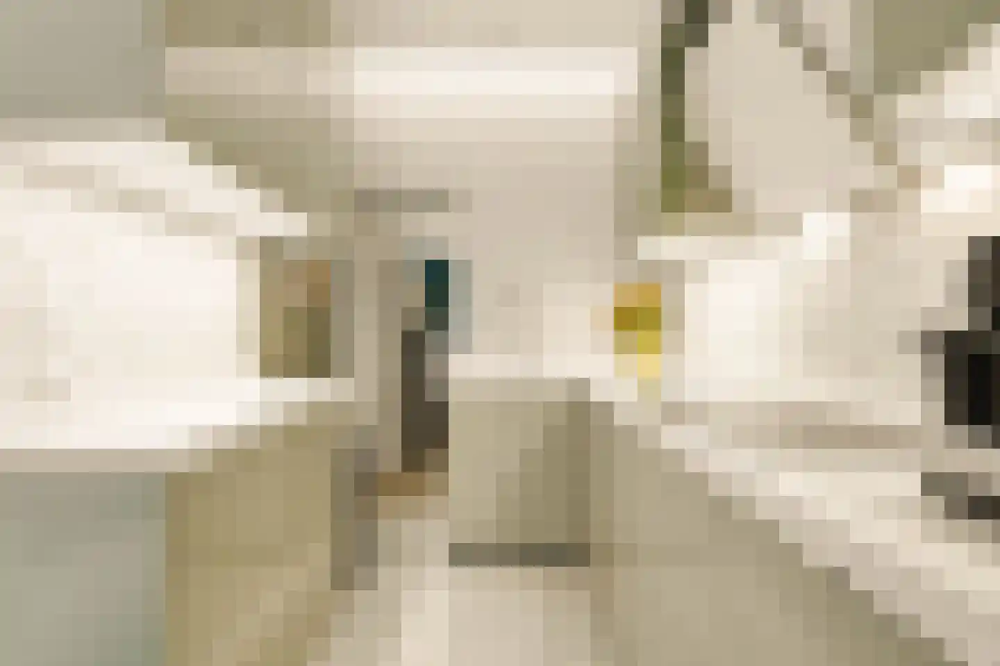 Houtmankade 310 Amsterdam thumbnail 9