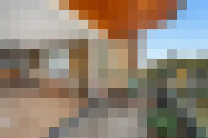 Houtmankade 40 U Amsterdam thumbnail 11