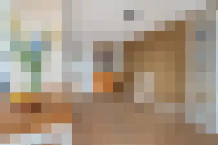 Houtmankade 40 U Amsterdam thumbnail 6