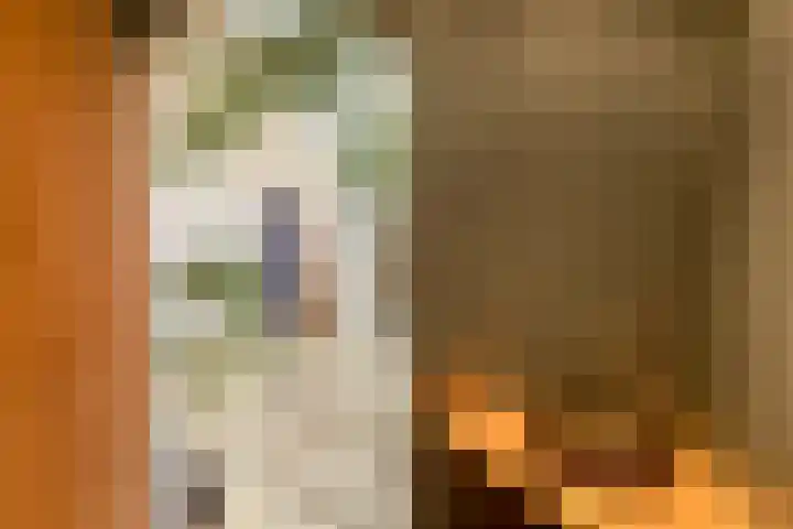 Houtmankade 41 H Amsterdam thumbnail 22
