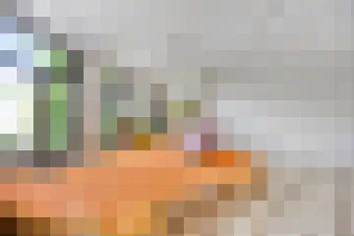 Houtmankade 41 H Amsterdam thumbnail 5
