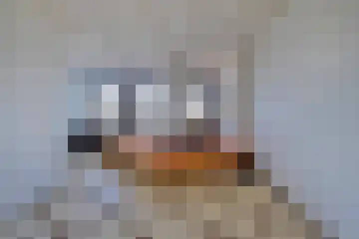 Houtmankade 41 H Amsterdam thumbnail 9