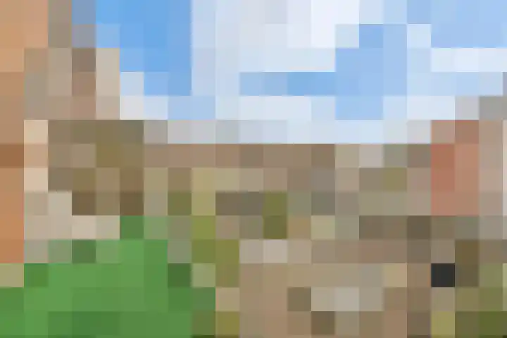Houtmankade 43 3 Amsterdam thumbnail 11