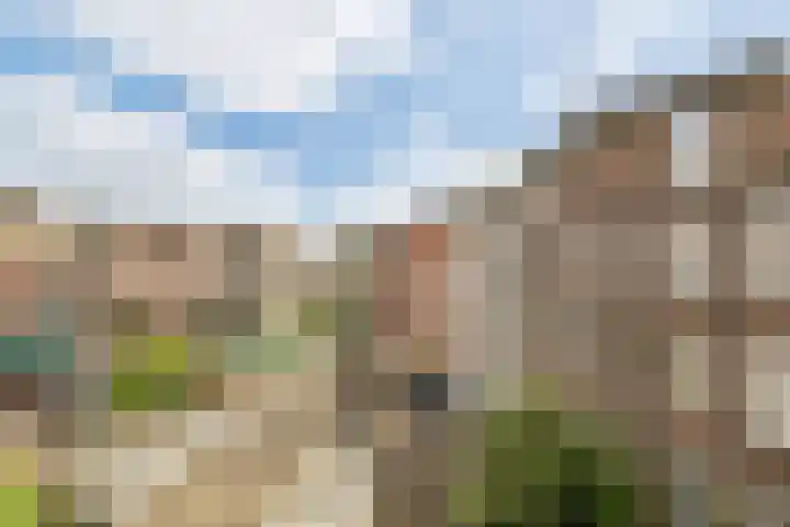 Houtmankade 43 3 Amsterdam thumbnail 12