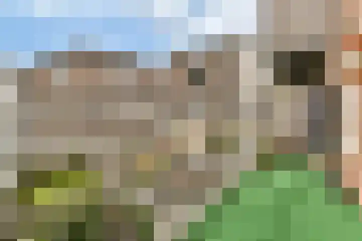 Houtmankade 43 3 Amsterdam thumbnail 13