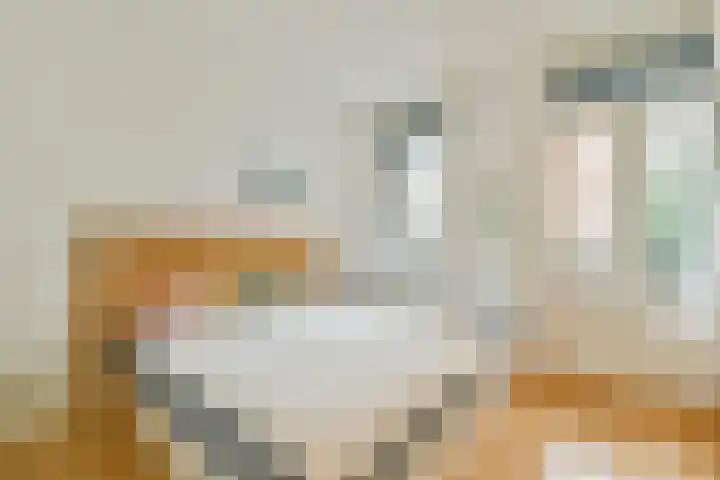 Houtmankade 43 3 Amsterdam thumbnail 14