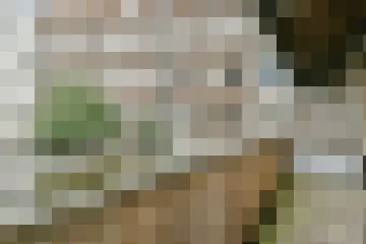 Houtmankade 43 3 Amsterdam thumbnail 22