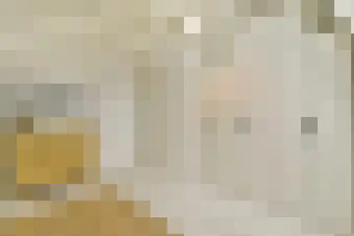 Houtmankade 43 3 Amsterdam thumbnail 26