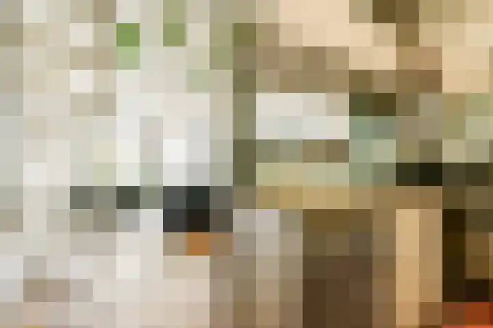 Houtmankade 43 3 Amsterdam thumbnail 4