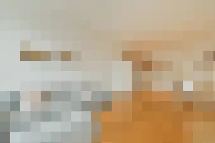 Houtmankade 43 3 Amsterdam thumbnail 9