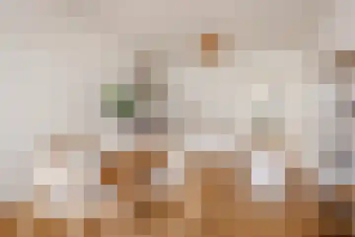 Houtmankade 45 4 Amsterdam thumbnail 10