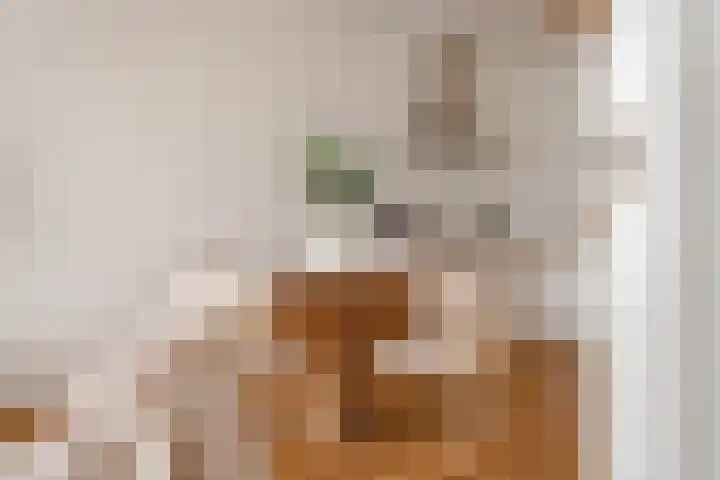 Houtmankade 45 4 Amsterdam thumbnail 11