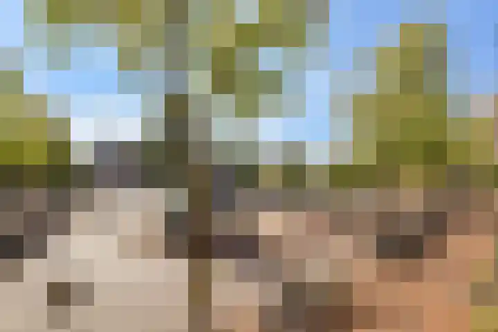 Houtmankade 45 4 Amsterdam thumbnail 30