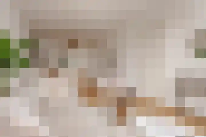 Houtmankade 45 4 Amsterdam thumbnail 6