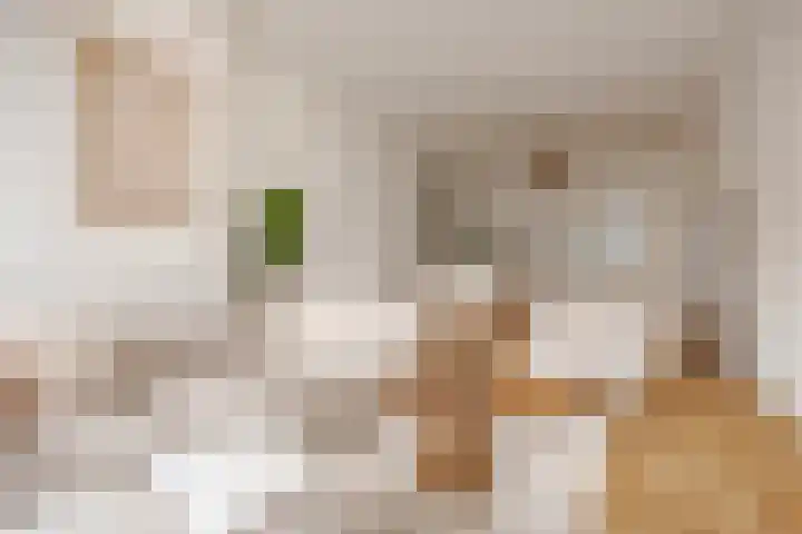 Houtmankade 45 4 Amsterdam thumbnail 7