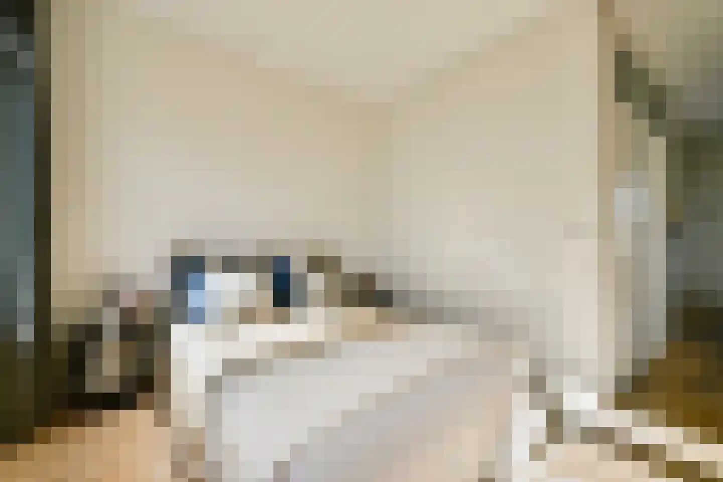 Houtmankade 59 2 Amsterdam thumbnail 18