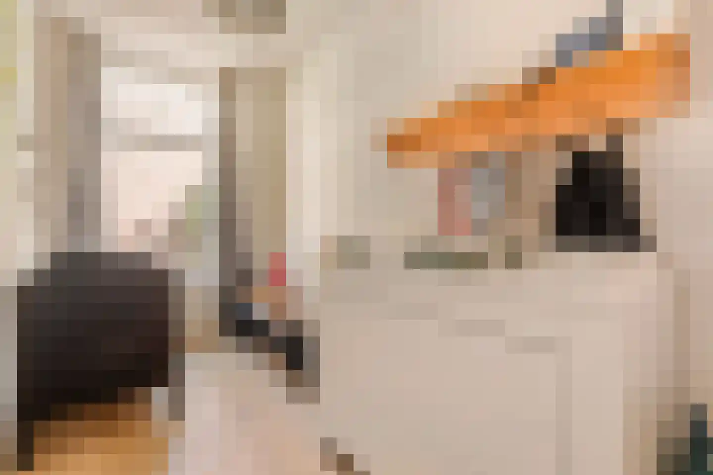 Houtmankade 61 1 Amsterdam thumbnail 18